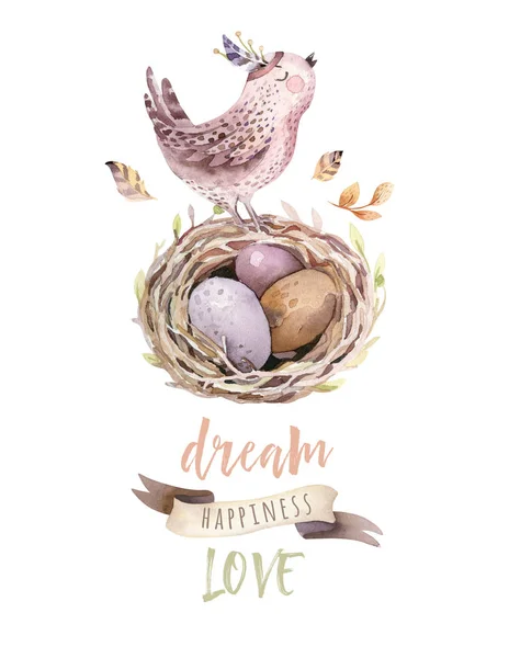 Aquarel Cartoon Vogel Nest Met Eieren Droom Geluk Liefde Tekst — Stockfoto
