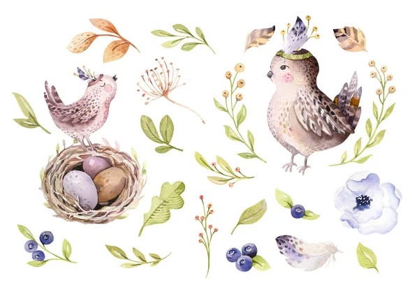 手绘复活节水彩动画片鸟和鸡蛋与树叶 树枝和羽毛 设计元素 — 图库照片