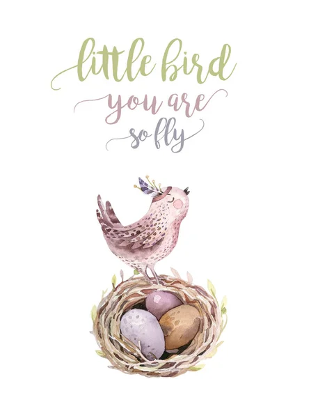 Ручной Рисунок Пасхальных Акварелей Летающие Мультяшные Птицы Яйца Листьями Ветвями — стоковое фото