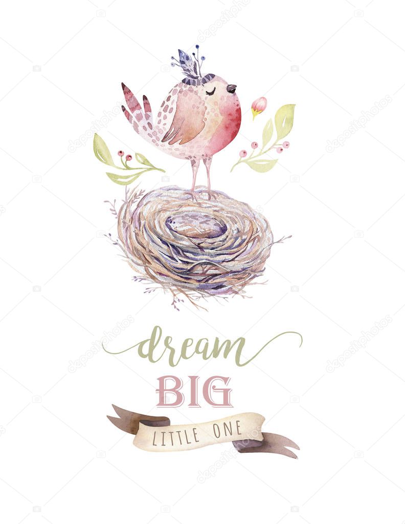 watercolor cartoon bird in nest, Dream big text