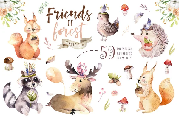 Cute watercolor bohemian baby cartoon hedgehog, squirrel and moose animal for nursary, woodland isolated forest illustration for children. Bunnies animals. — Stock Photo, Image