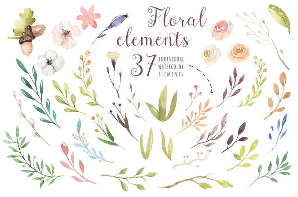 Set vintage watercolor green elements of flowers, garden and wild flowers, leaves, branches flowers, illustration isolated, greenery bohemian bouquets — Stock Photo, Image