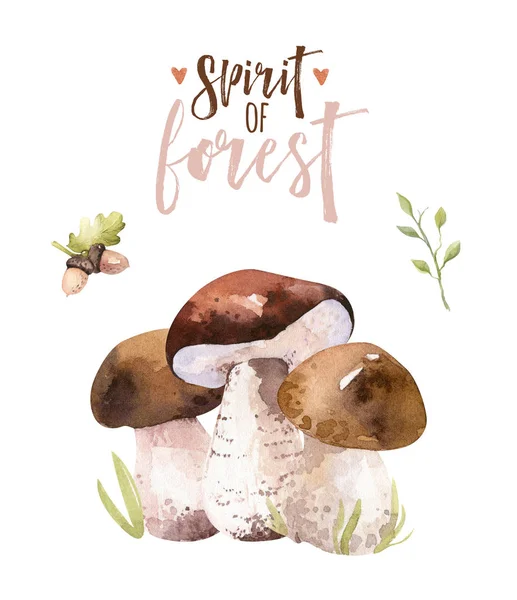 cute cartoon watercolor drawing of forest mushrooms