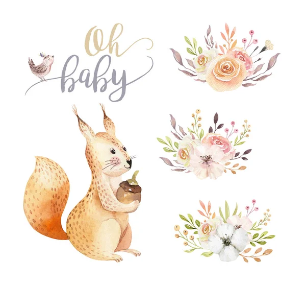 Cute Cartoon Watercolor Drawing Squirrel Holding Acorn — Stock Photo, Image