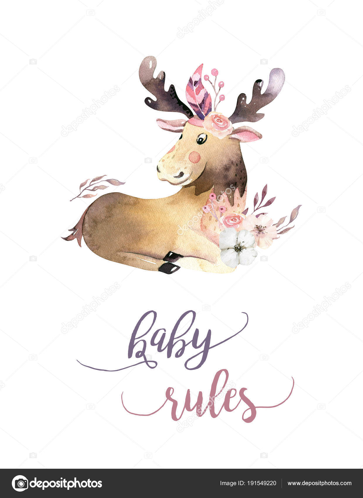 Cute Watercolor Bohemian Baby Moose Animal Poster Stock Photo Image By C Mykef