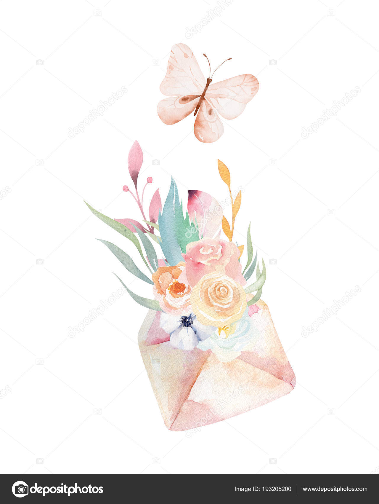 Aquarelle Dessin Enveloppe Des Fleurs Des Papillons Isolé