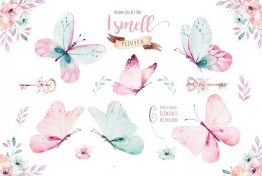 Çiçekler ve kelebekler beyaz arka plan üzerinde izole çizim suluboya
