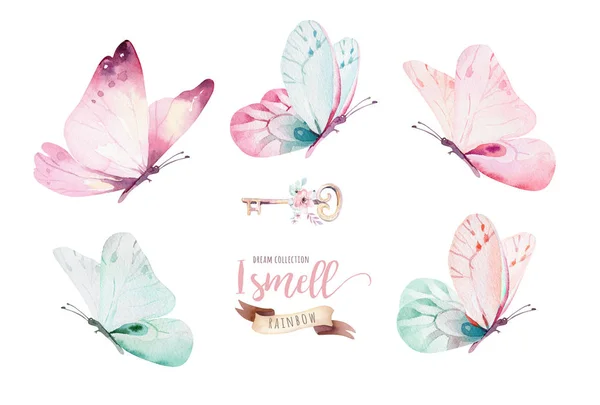 Dibujo Acuarela Flores Mariposas Aisladas Sobre Fondo Blanco — Foto de Stock