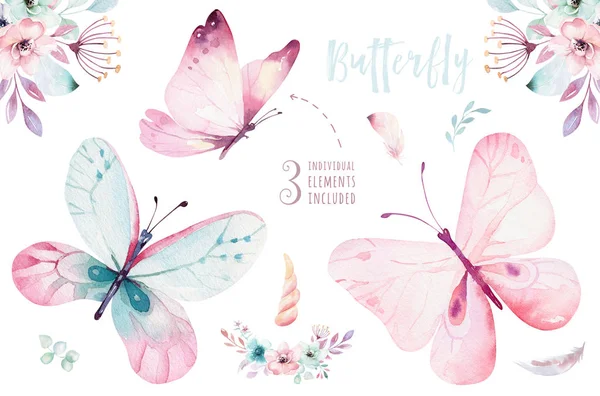 Watercolor Drawing Flowers Butterflies Isolated White Background — Stock Photo, Image