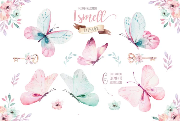 Dibujo Acuarela Flores Mariposas Aisladas Sobre Fondo Blanco — Foto de Stock