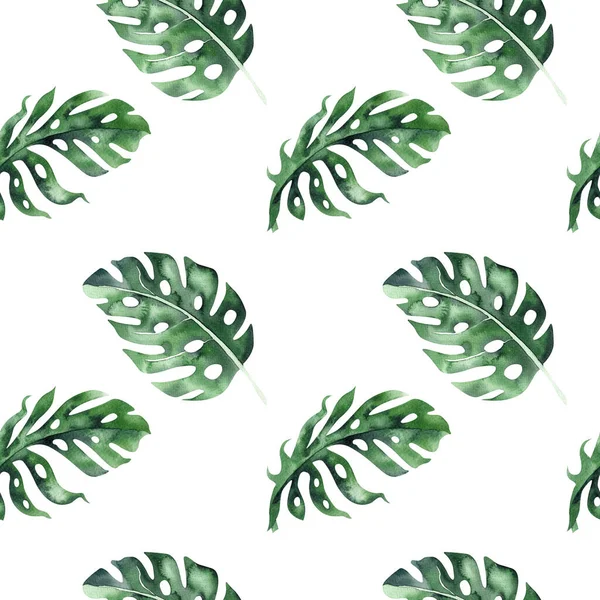 Conjunto de brillantes hojas de monstera tropical acuarela. ramo de hojas de palma tropical patrón sin costuras, flores y ramas de la selva. Fondo exótico diseño botánico hawaii —  Fotos de Stock
