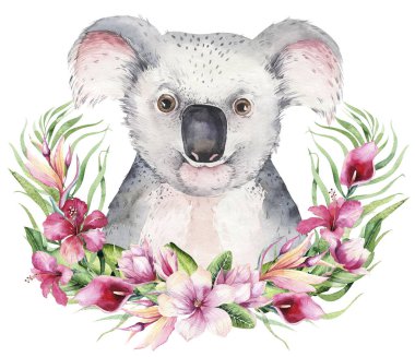 Koalalı bir poster. Suluboya karikatür koala tropikal hayvan illüstrasyon. Orman egzotik yaz baskı.