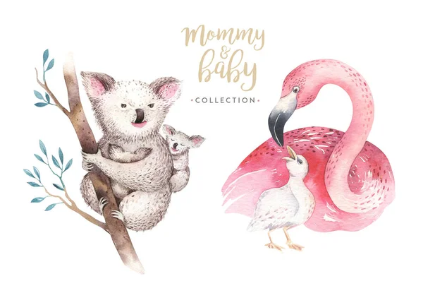 Aquarel leuke cartoon illustratie met schattige mama flamingo en baby, bloemblaadjes. koala Moeder en baby illustratie vogel ontwerp. Tropische moedervogel — Stockfoto