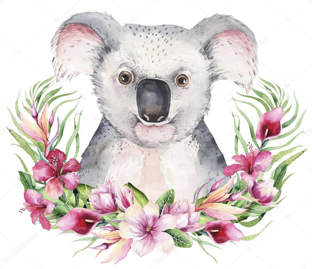A poster with a koala. Watercolor cartoon koala tropical animal illustration. Jungle exotic summer print.