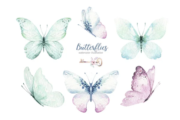 Watercolor colorful butterflies, isolated butterfly on white background. blue, yellow, pink and red butterfly spring illustration.