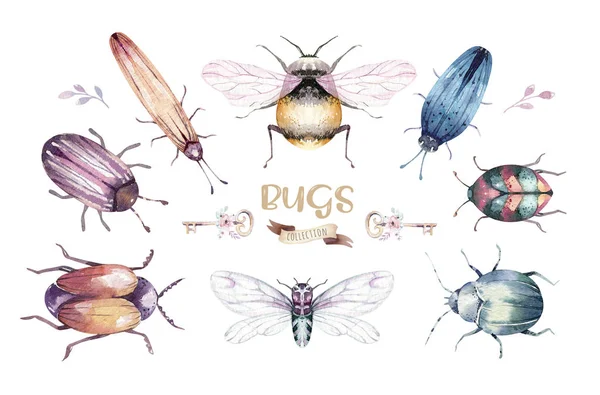 一组水彩鲜艳的甲虫、昆虫、苍蝇和蜜蜂. 孤立的五彩斑斓的卡通片. 昆虫布景装饰 — 图库照片