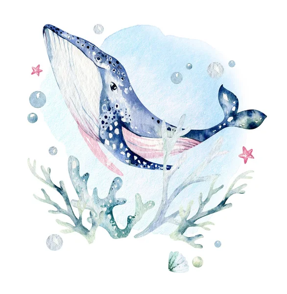 Een Stel Zeedieren Blauwe Aquarelvis Schildpad Walvis Koraal Shell Aquarium — Stockfoto