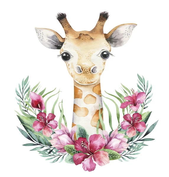 A poster with a baby giraffe. Watercolor cartoon giraffetropical animal illustration. Jungle exotic summer design