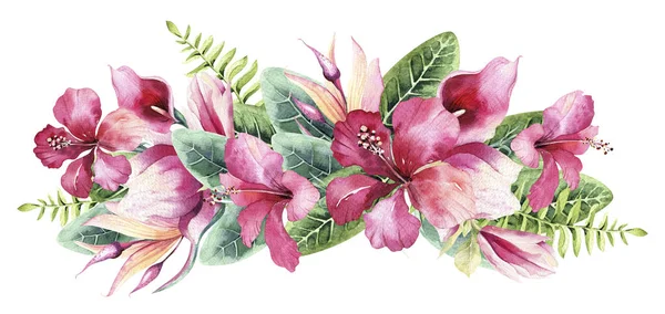 Akvarel Kreslené Floralky Tropickými Rostlinami Květinami — Stock fotografie