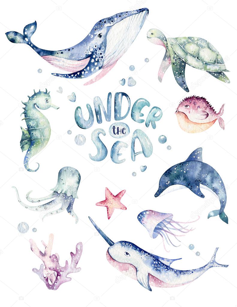 Set of sea animals. Blue watercolor ocean fish, turtle, whale and coral. Shell aquarium background. Nautical dolphin marine illustration, jellyfish, starfish