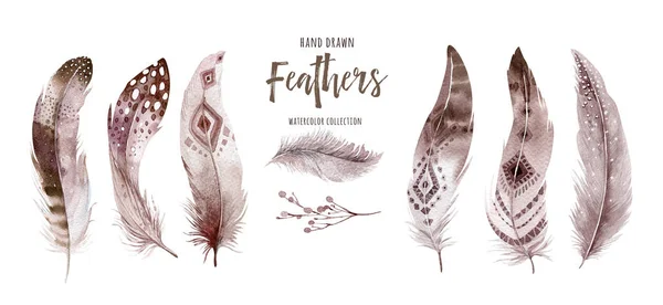 Hand Getekende Aquarel Schilderijen Levendige Feather Set Boho Stijl Vleugels — Stockfoto