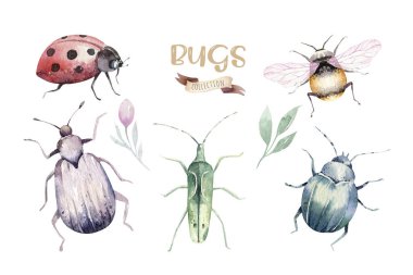 Set of watercolor bright beetles, bugs fly and bees. Isolated colorful cartoon buttle and bug. Insect set decoration clipart