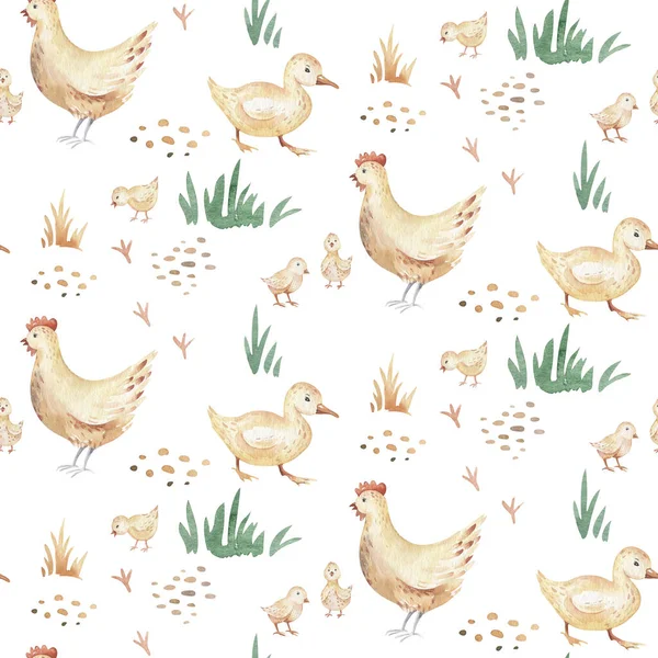 Akvarell Zökkenőmentes Minta Aranyos Haszonállatok Kecske Liba Tehén Csirke Sertés — Stock Fotó