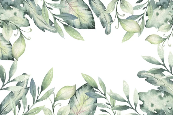 Handgezeichnete Aquarell Tropischen Blumenhintergrund Exotische Palmblätter Dschungelbaum Brasilianische Tropische Botanik — Stockfoto