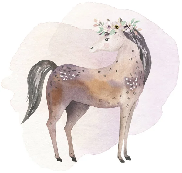 Animaux Ferme Ensemble Mignon Animaux Domestiques Aquarelle Illustration Cheval Oie — Photo