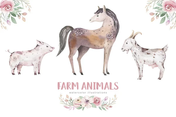 Fazendas Conjunto Animais Bonito Animais Estimação Domésticos Ilustração Aquarela Cavalo — Fotografia de Stock