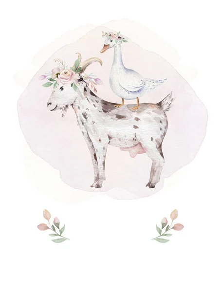 Állattenyésztés Aranyos Háziállatok Akvarell Illusztráció Liba Malactervezés Kecskével Kakas Csirke — Stock Fotó
