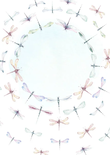 Akvarell Légy Szitakötő Tavaszi Szárnyak Illusztráció Nyári Rovar Gyűjtemény Méhek — Stock Fotó