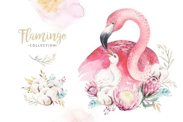 Watercolor Cute Cartoon Illustration Cute Mommy Flamingo Baby Flower Leaves Stock Photo