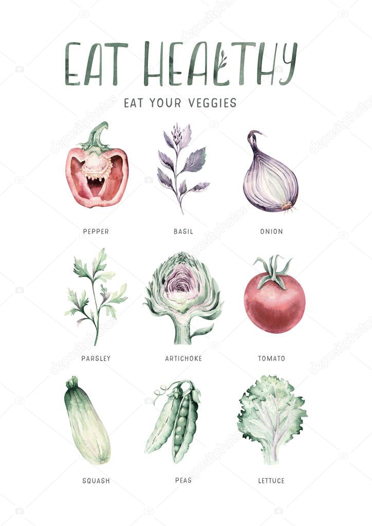 Vegetables healthy green organic set hand drawn watercolor diet menu with artichoke, broccoli, spinach, celery vitamin. Cabbage, leek and onion illustration. Isolated lettuce and radish. Squash tomato