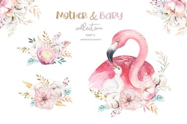 Şirin anne flamingo ve bebek çiçekli suluboya çizgi film çizimleri. Anne ve bebek resimli kuş tasarımı. Tropik anne kuş dekorasyonu