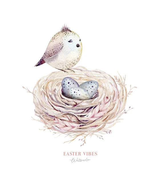 Aquarel Gelukkig Pasen Nest Met Vogel Eieren Met Tak Veer — Stockfoto