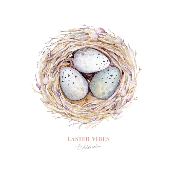Akvarel Šťastný Velikonoční Hnízdo Ptačími Vejci Větví Peřím Pružná Kresba — Stock fotografie