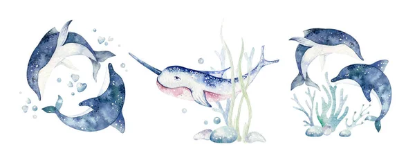 一组海洋动物 蓝色水色的海鱼 鲸鱼和珊瑚 贝壳水族馆背景 航海海豚海洋图解 — 图库照片