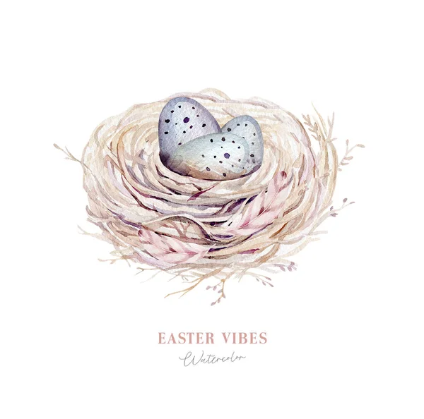 Watercolor Happt Easter Φωλιά Αυγά Πουλιών Κλαδί Και Φτερό Ελατήριο — Φωτογραφία Αρχείου