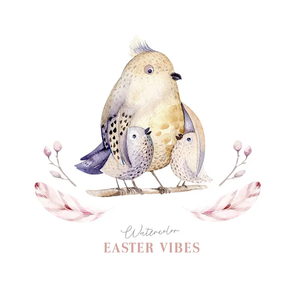 Suluboya Mutlu Paskalya Yuvası Dallı Tüylü Kuş Yumurtaları Llüstrasyon Çizilmiş — Stok fotoğraf