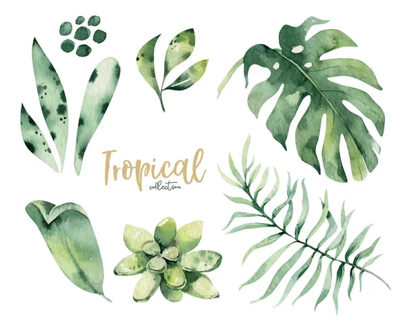 Aquarelle dessinée à la main fleur tropicale et feuilles. Feuilles de palmier exotiques, arbre de jungle, éléments botaniques tropiques brésiliens et fleurs. Parfait pour la conception de tissu. Collection Aloha . — Image vectorielle