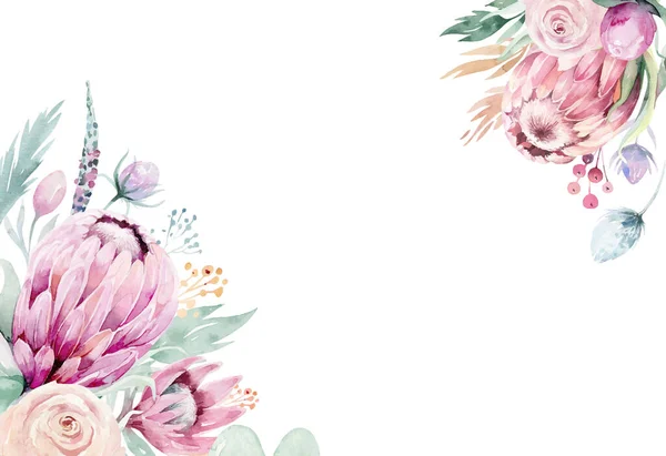 Marco floral de acuarela con protea rosa y formas doradas. Saludo, decoración de diseño de banner — Vector de stock