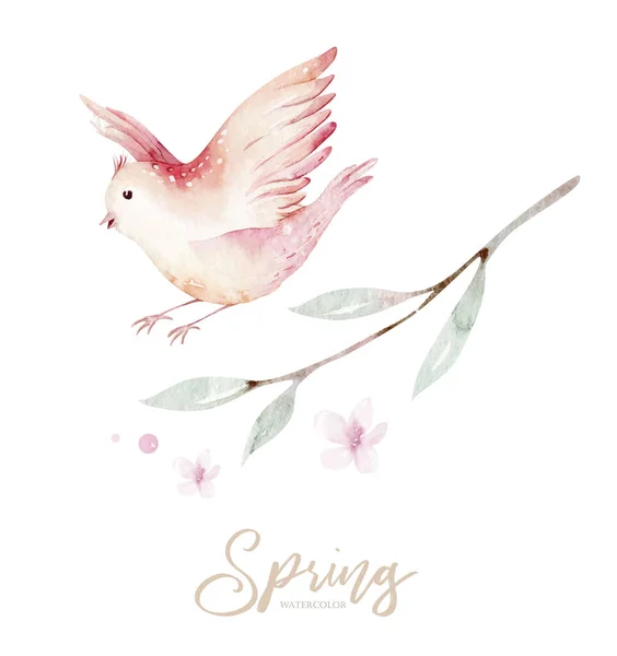 Jarní pták na kvetoucí větvi se zelenými listy a květy. Akvarelové pozvánky na svatbu. Ručně kreslený růžový věnec. Cherry izolované větev dekorace. — Stockový vektor