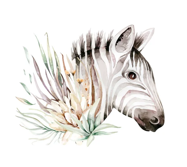 Niedliche Zebra Aquarell Portrait Illustration. Afrikanische Tiere exotische Natur. Wildtier Savanne — Stockvektor