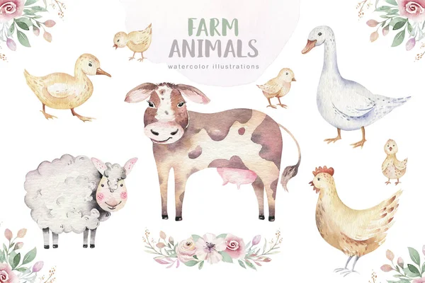 Állattenyésztés Aranyos Háziállatok Akvarell Illusztráció Liba Malactervezés Kecskével Kakas Csirke — Stock Fotó