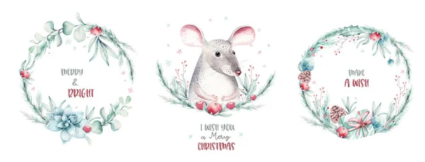 Akvarel dovolená vánoční krysa, myš kliparty. Prvek zimní dekorace. Veselý vánoční design. Větev borovice, rám, bobule. Nový rok pozvání dekorativní design — Stock fotografie