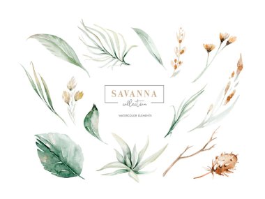 Güllerin suluboya unsurlarını kırmızı, bordo çiçekleri, yapraklar, dallar, beyaz arka planda izole edilmiş botanik illüstrasyonları olarak ayarlayın. çiçek tomurcuğu