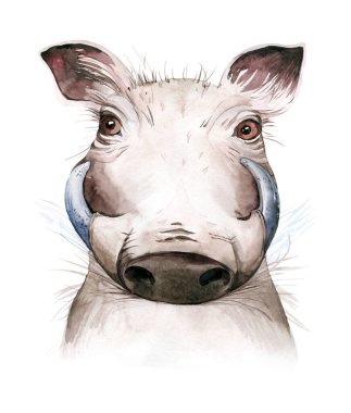 Afrika suluboya savanası sevimli, komik yaban domuzu hayvan çizimi. Afrika Safari hayvanları kral aslan portre karakteri. İzole edilmiş beyaz poster tasarımı