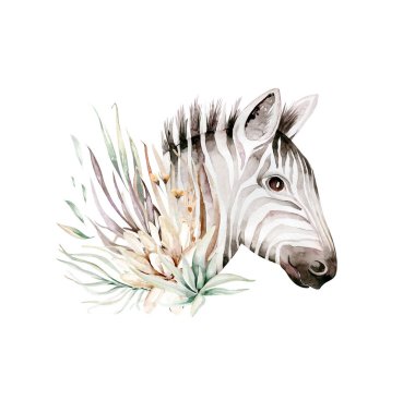 Afrika suluboya savana zebra hayvanı. Afrika Safari şirin hayvan portresi. Duvar kağıdı baskısı, ambalaj, davetiyeler, düğün tasarımı için mükemmel.