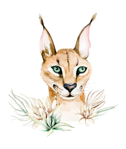 Caracal Cat Cartoon Lynx Bobcat Portrét Kočky — Stock fotografie